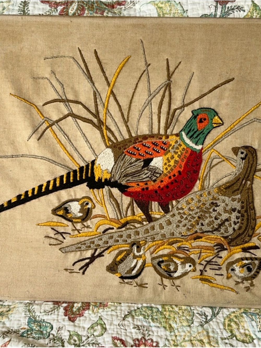 Vintage Avon 1973 Crewel Work ‘ Wild Pheasants’   Finished Unframed Needlepoint